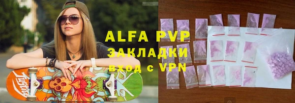 эйфоретик Бородино