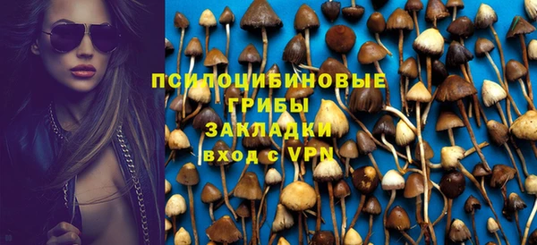 эйфоретик Бородино