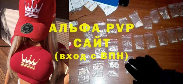 эйфоретик Бородино